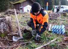 Bergwaldprojekt - Wald der Zukunft