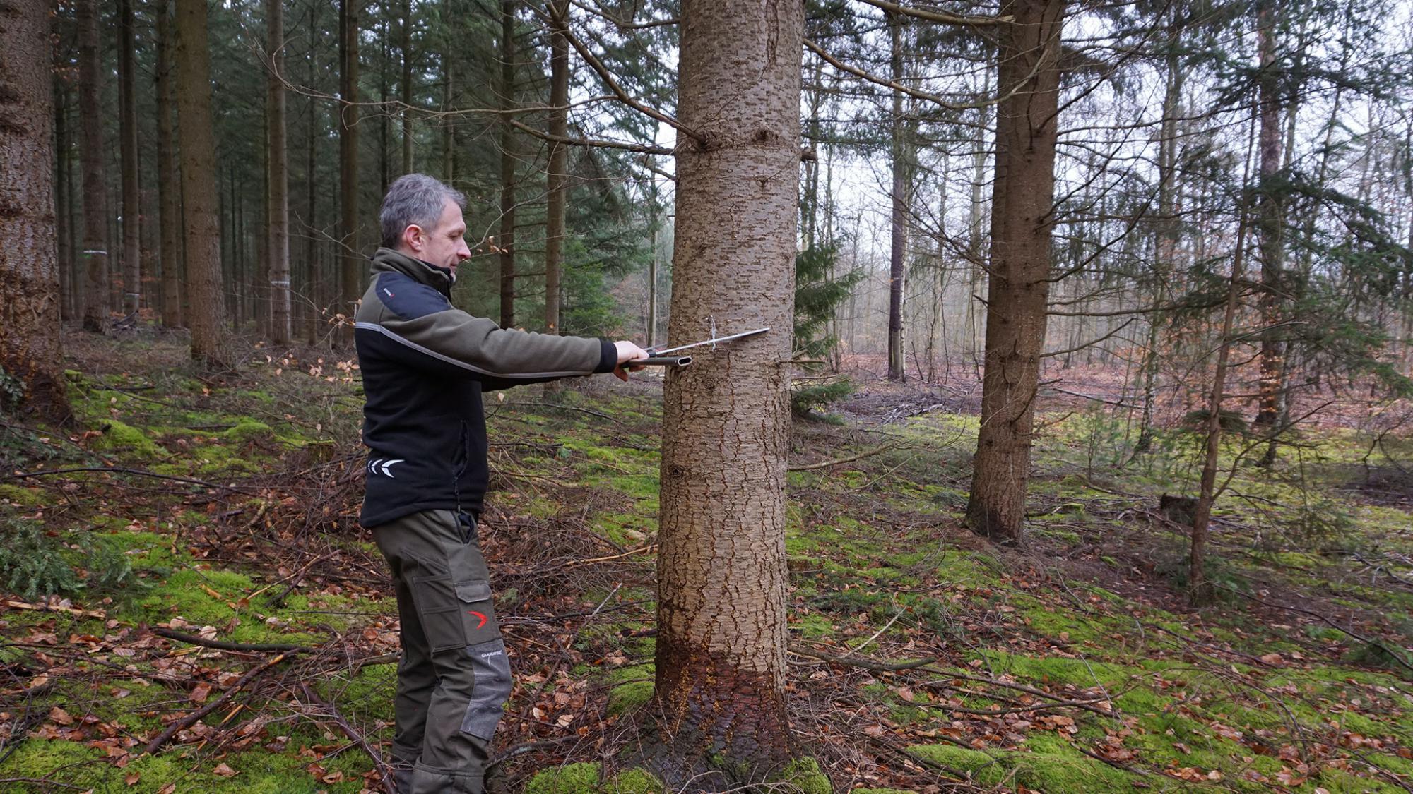 Stimmen aus dem Wald Besuch beim Förster in Brandenburg