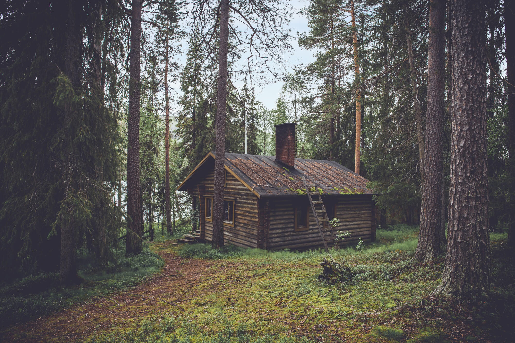 Eine Hütte im Wald bauen Ist das gesetzlich erlaubt? Waldhilfe