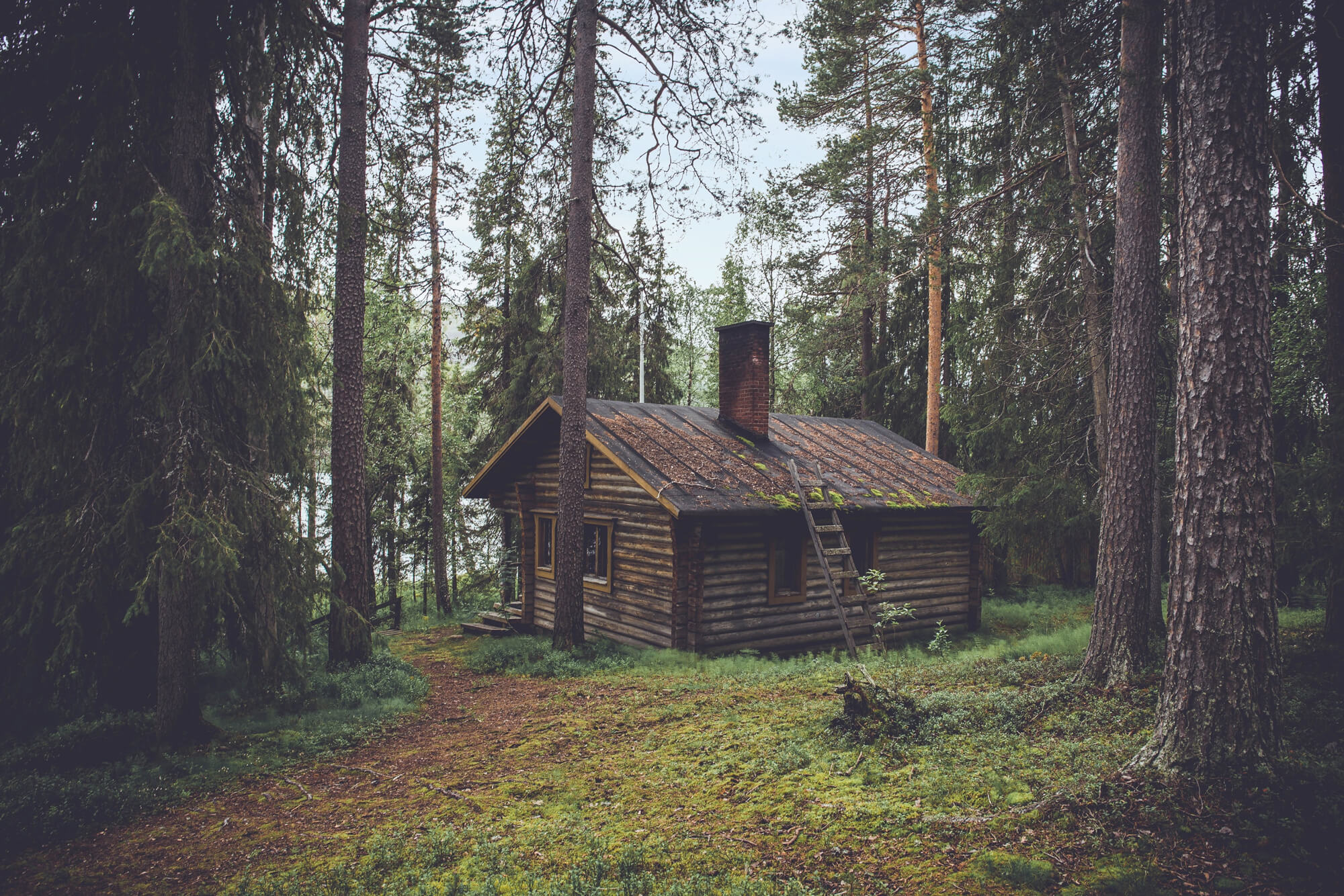Wie weit muss ein Haus vom Wald weg sein?