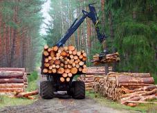 Ein Forwarder im Wald