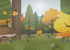 Waldkalender: Herbst im Wald